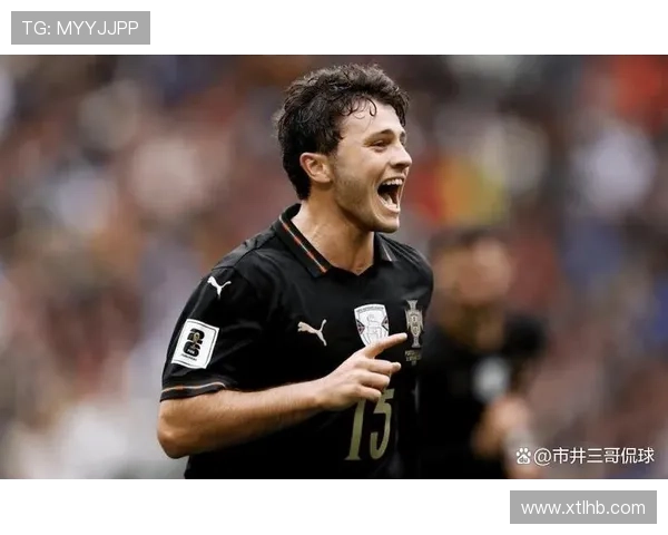 欧洲杯预选赛进球榜