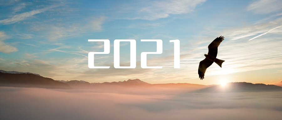 乘“峰”而上，智“盈”未来 ——2021年MK体育环境高级资深副总裁新年开工动员